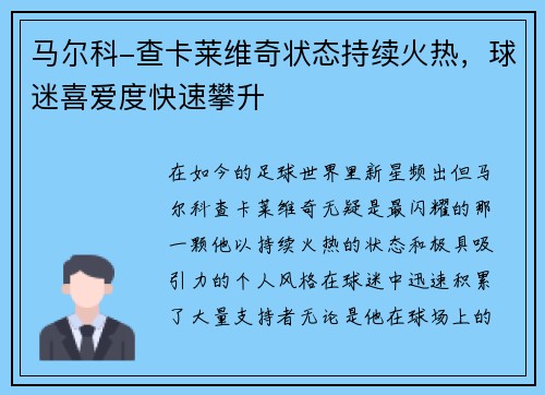 马尔科-查卡莱维奇状态持续火热，球迷喜爱度快速攀升
