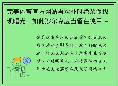 完美体育官方网站再次补时绝杀保级现曙光，如此沙尔克应当留在德甲 - 副本