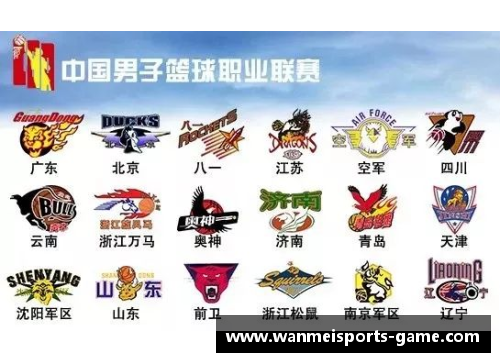 完美体育官方网站CBA联赛明年计划扩军至20支球队，引发球迷热议 - 副本